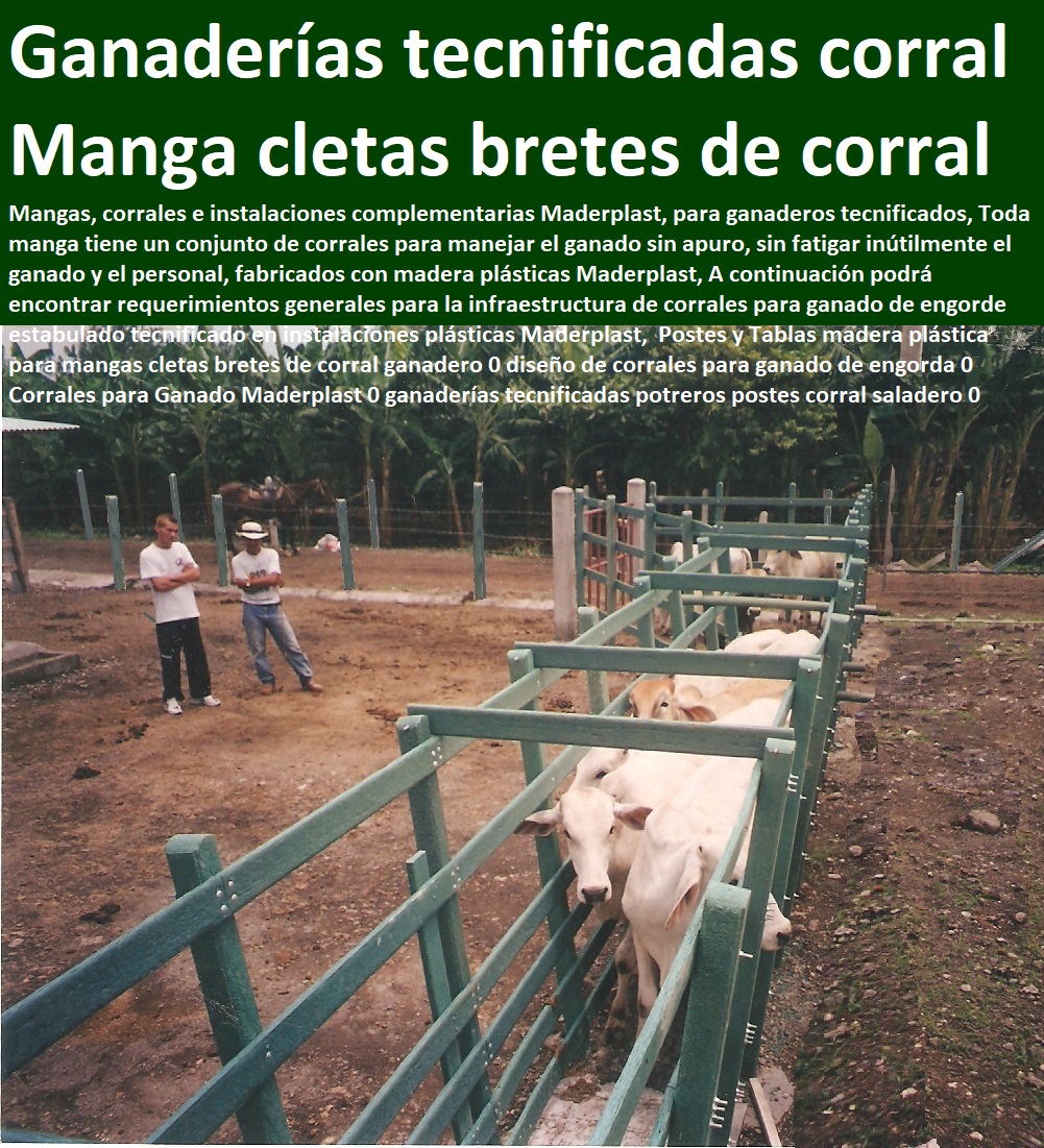 Postes y Tablas madera plástica para mangas cletas bretes de corral ganadero 0 diseño de corrales para ganado de engorda 0 Corrales para Ganado Maderplast 0 ganaderías tecnificadas potreros postes corral saladero 0 Postes y Tablas madera plástica para mangas cletas bretes de corral ganadero 0 diseño de corrales para ganado de engorda 0 Corrales para Ganado Maderplast 0 ganaderías tecnificadas potreros postes corral saladero 0 Postes y Tablas madera plástica para mangas cletas bretes de corral ganadero 0 diseño de corrales para ganado de engorda 0 Corrales para Ganado Maderplast 0 ganaderías tecnificadas potreros postes corral saladero 0